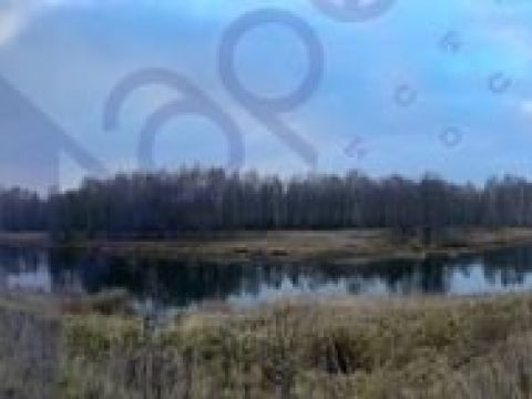 derevnya-fefeliha-sokolskiy-gorodskoy-okrug фото