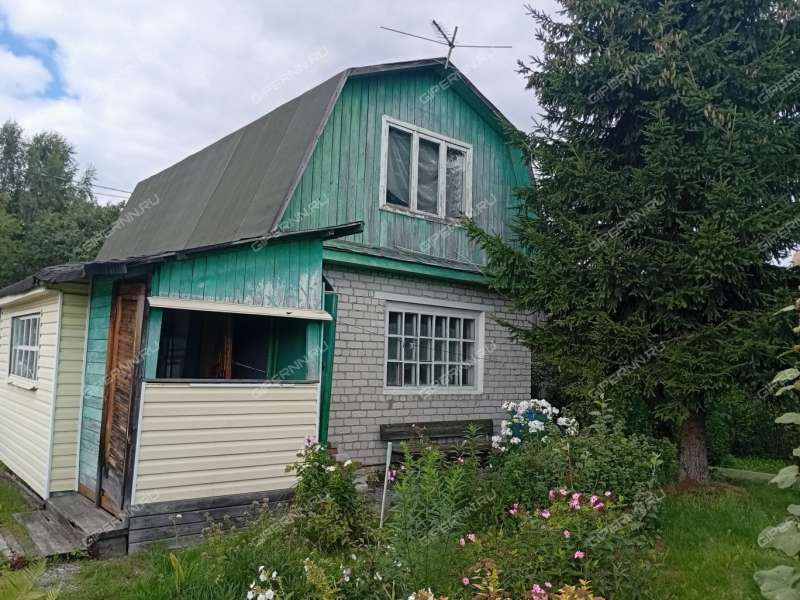 дача на Восход N2 тер. садовое неком-е товарищество город Бор