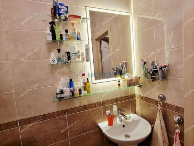 четырёхкомнатная квартира на Русской улице улице дом 9 деревня Анкудиновка