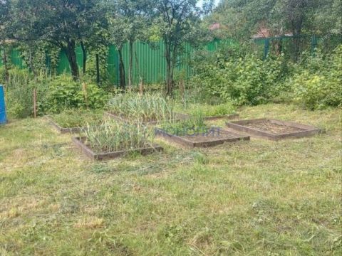 dacha-derevnya-kremenki-dalnekonstantinovskiy-rayon фото