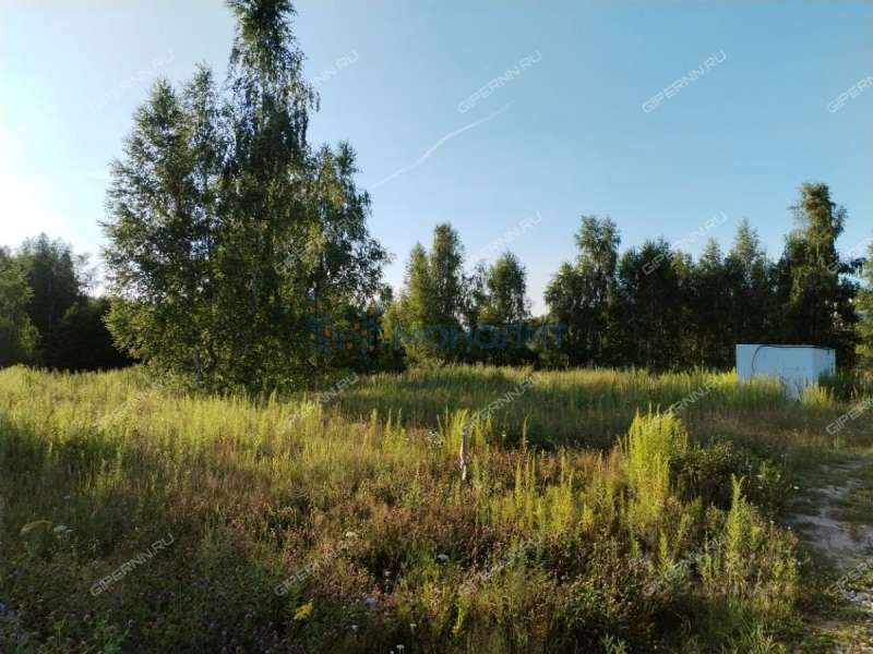 земельный участок 10 соток Жемчужная улица город Кстово