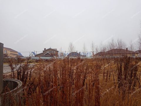 gorod-bogorodsk-bogorodskiy-municipalnyy-okrug фото