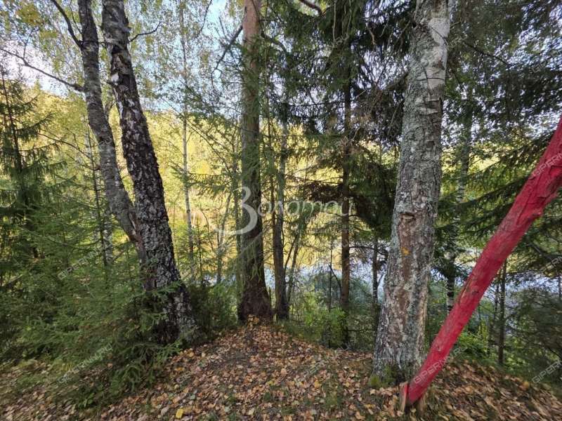земельный участок 10 соток село Катунки